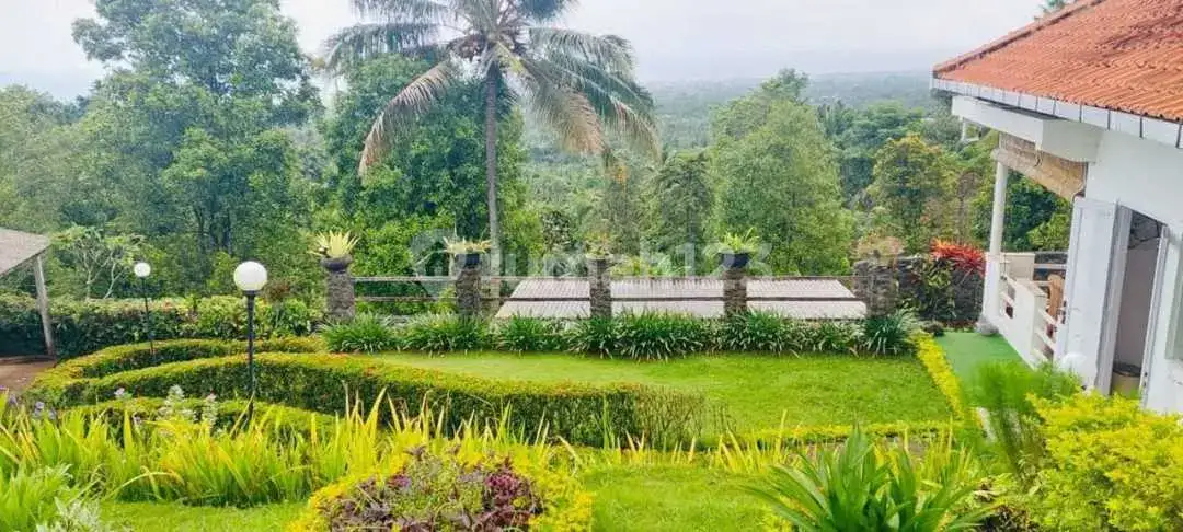 Villa 2 Kamar Tidur dengan Pemandangan Laut di Kayuputih Lovina Buleleng Bali