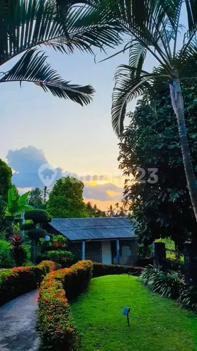 Villa 2 Kamar Tidur dengan Pemandangan Laut di Kayuputih Lovina Buleleng Bali