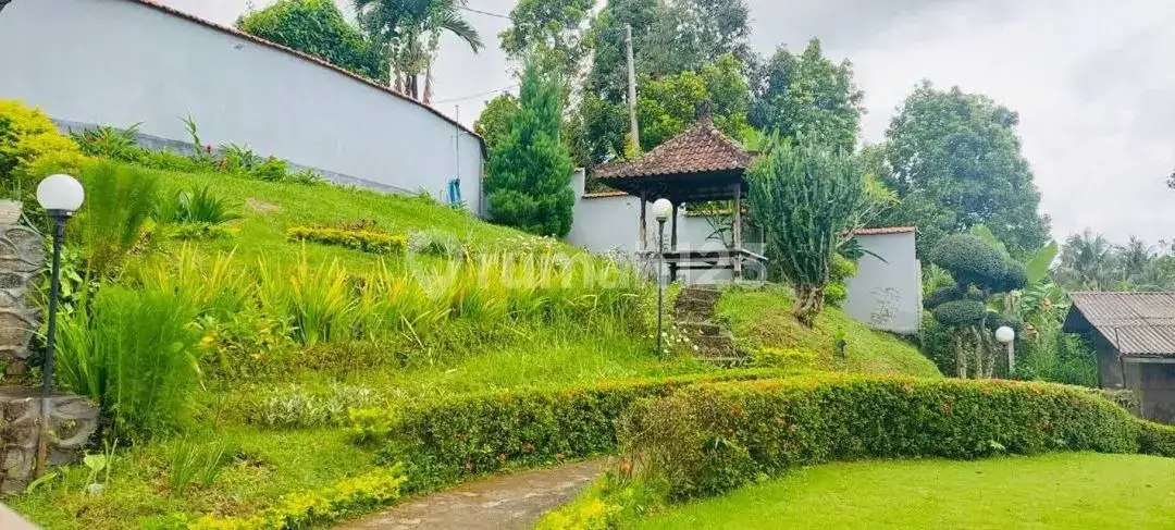 Villa 2 Kamar Tidur dengan Pemandangan Laut di Kayuputih Lovina Buleleng Bali