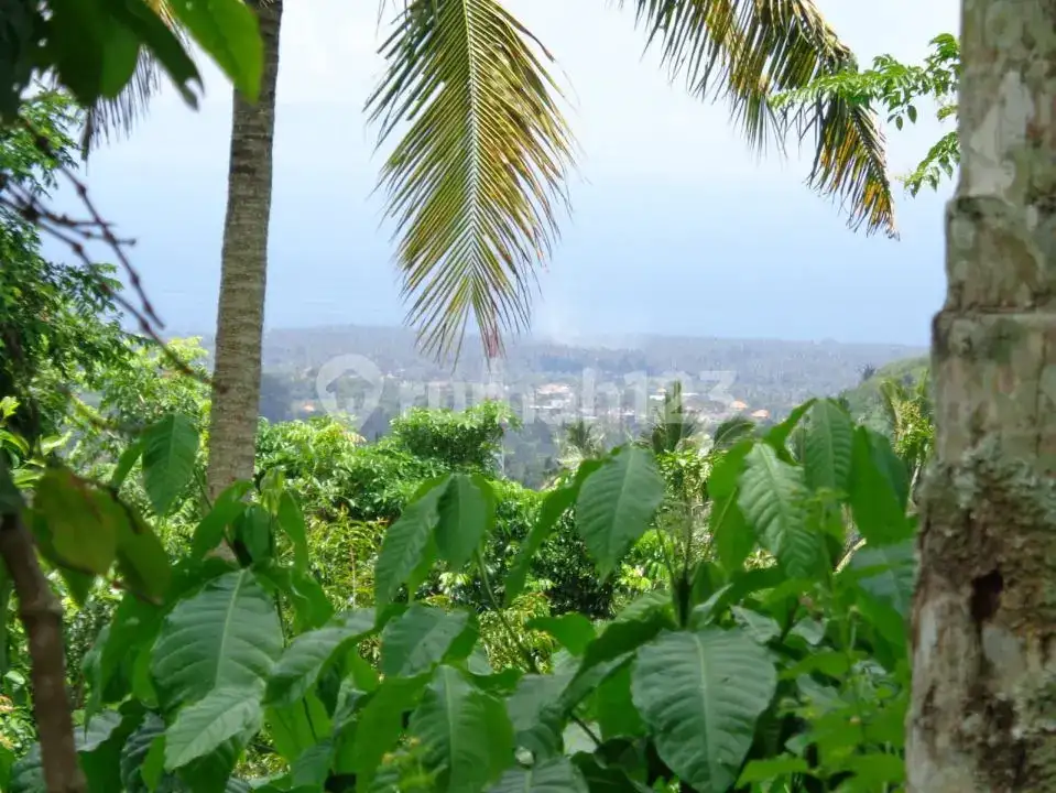 Tanah Luas dengan Pemandangan Laut di Karangasem Bali, Cocok untuk Investasi atau Hotel