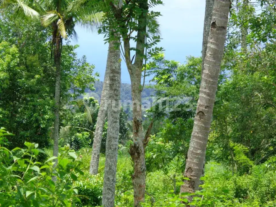 Tanah Luas dengan Pemandangan Laut di Karangasem Bali, Cocok untuk Investasi atau Hotel