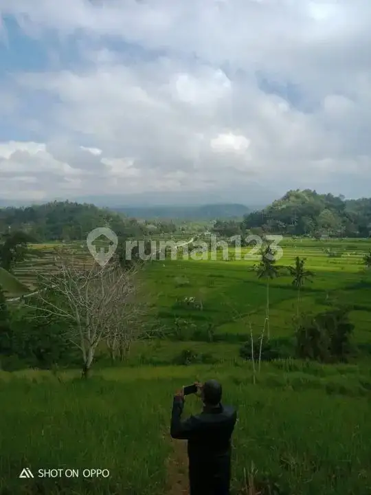 Tanah dengan Pemandangan Terasering dan Gunung di Abang Karangasem, Cocok untuk Villa atau Homestay