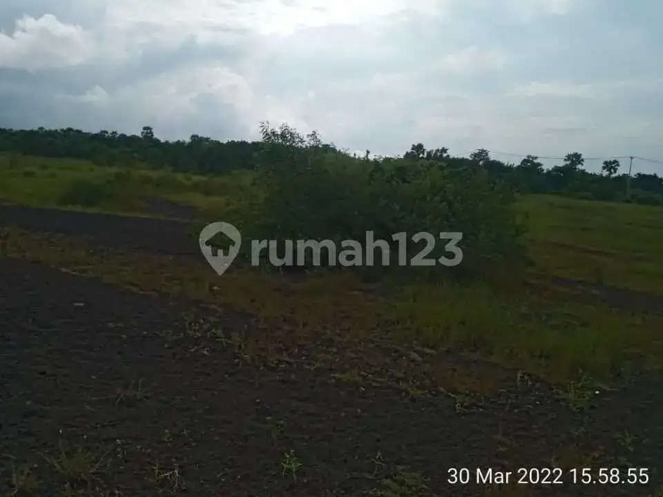 Tanah 8 Hektar di Tulamben Karangasem, Cocok untuk Investasi atau Proyek Usaha