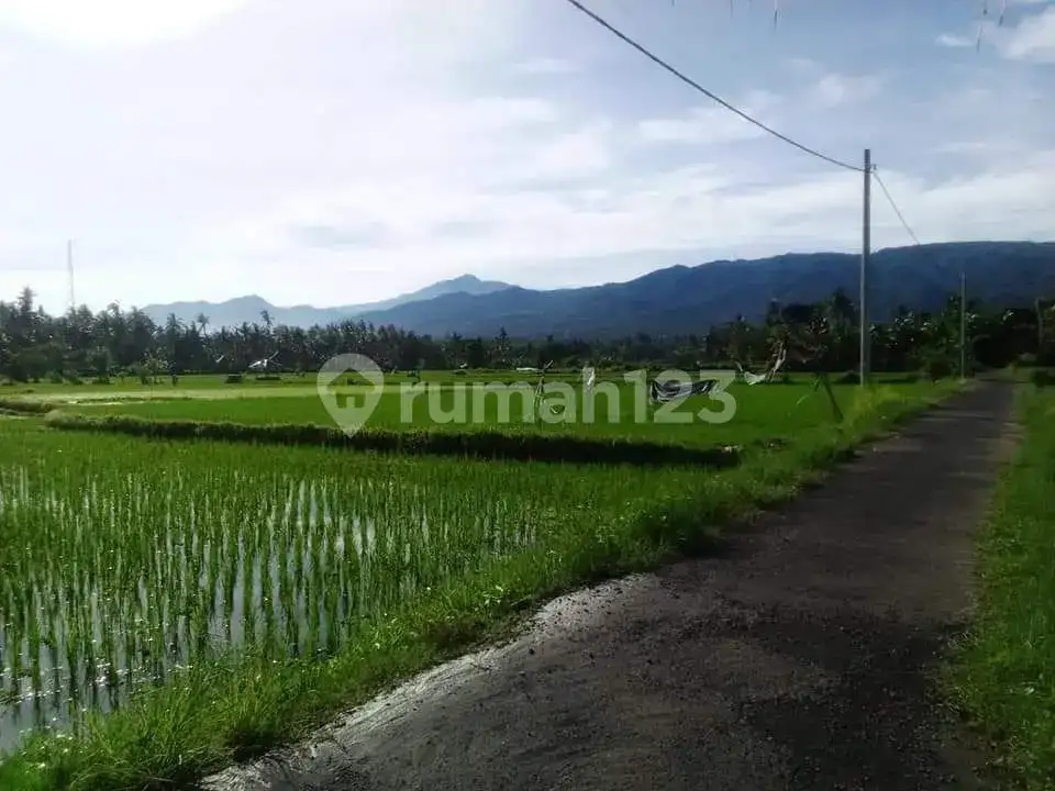 Tanah Strategis di Lovina Buleleng, Dekat Pantai dan Area Villa, Cocok untuk Pembangunan Villa