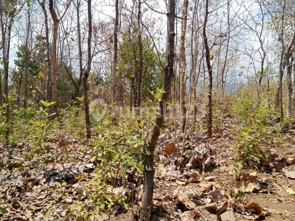 Tanah Rata dengan Pemandangan Laut Dekat Pepito, Lovina