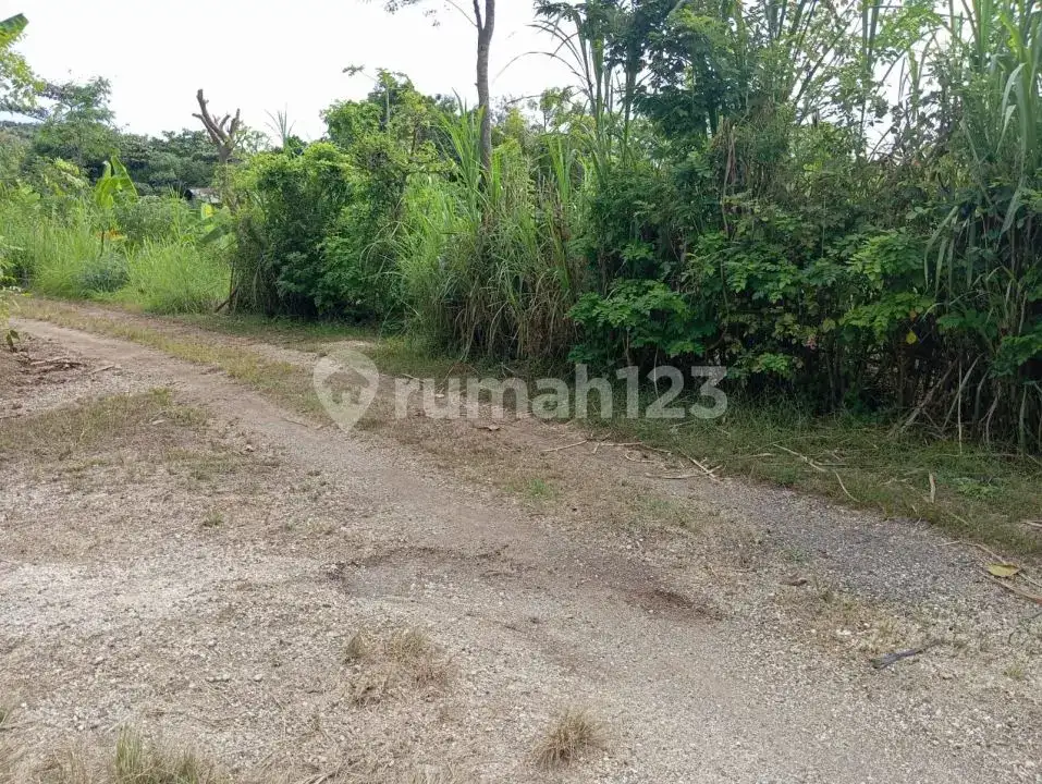 Tanah Rata dengan Pemandangan Laut Dekat Pepito, Lovina