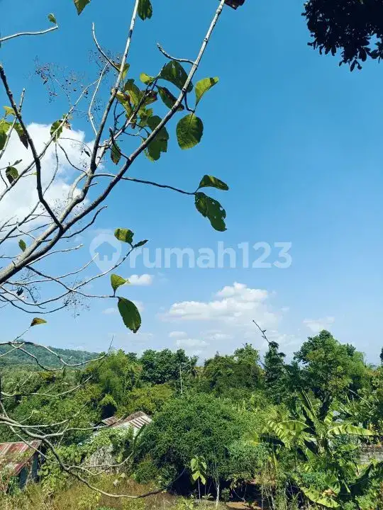 Tanah Rata dengan Pemandangan Laut Dekat Pepito, Lovina