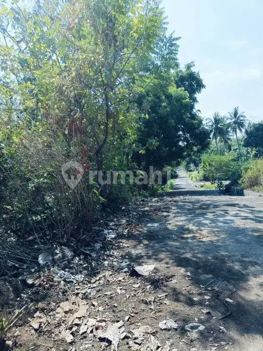 Tanah Rata dengan Pemandangan Laut Dekat Pepito, Lovina