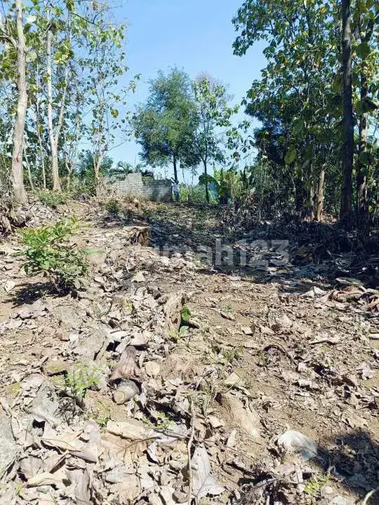 Tanah Rata dengan Pemandangan Laut Dekat Pepito, Lovina