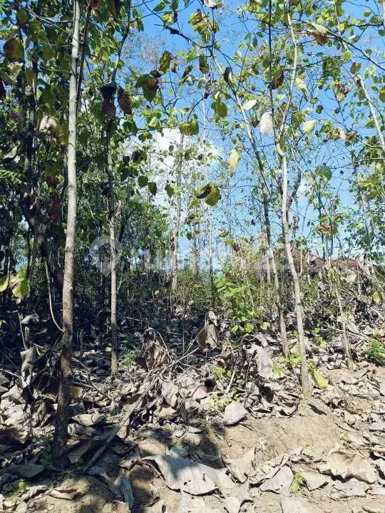 Tanah Rata dengan Pemandangan Laut Dekat Pepito, Lovina