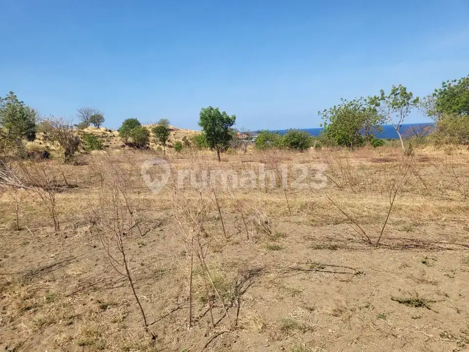 Tanah dengan Pemandangan Laut Dekat Tulamben, Karangasem, Cocok untuk Investasi