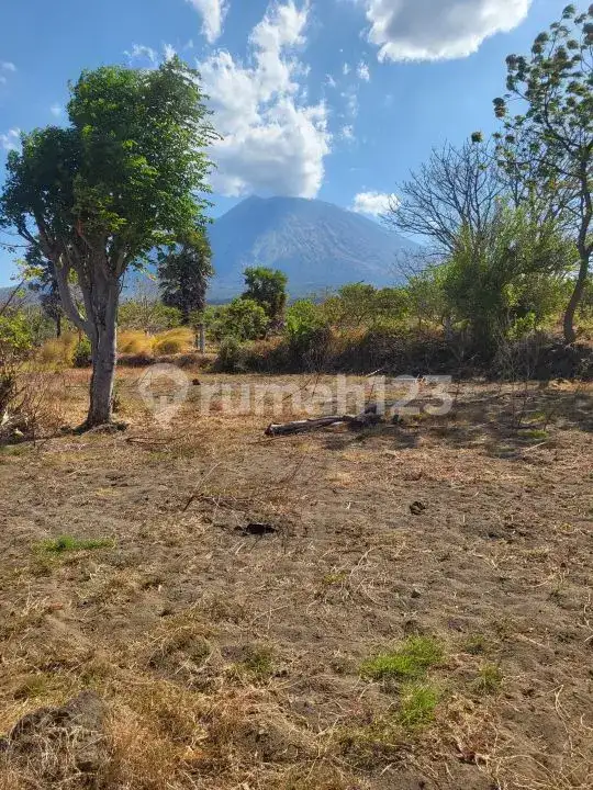 Tanah dengan Pemandangan Laut Dekat Tulamben, Karangasem, Cocok untuk Investasi