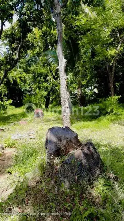 Tanah Pinggir Pantai di Kubutambahan, Buleleng, Cocok untuk Investasi
