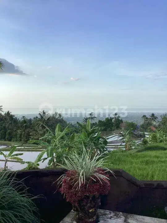 Villa 2 Private Joglo dengan Pemandangan Fantastis di Sambangan, Buleleng