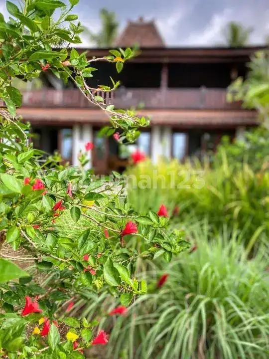 Villa 2 Private Joglo dengan Pemandangan Fantastis di Sambangan, Buleleng
