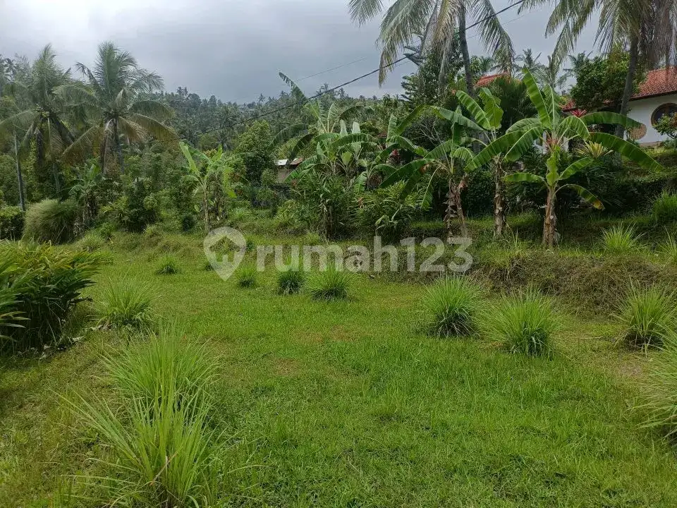 Villa 2 Private Joglo dengan Pemandangan Fantastis di Sambangan, Buleleng