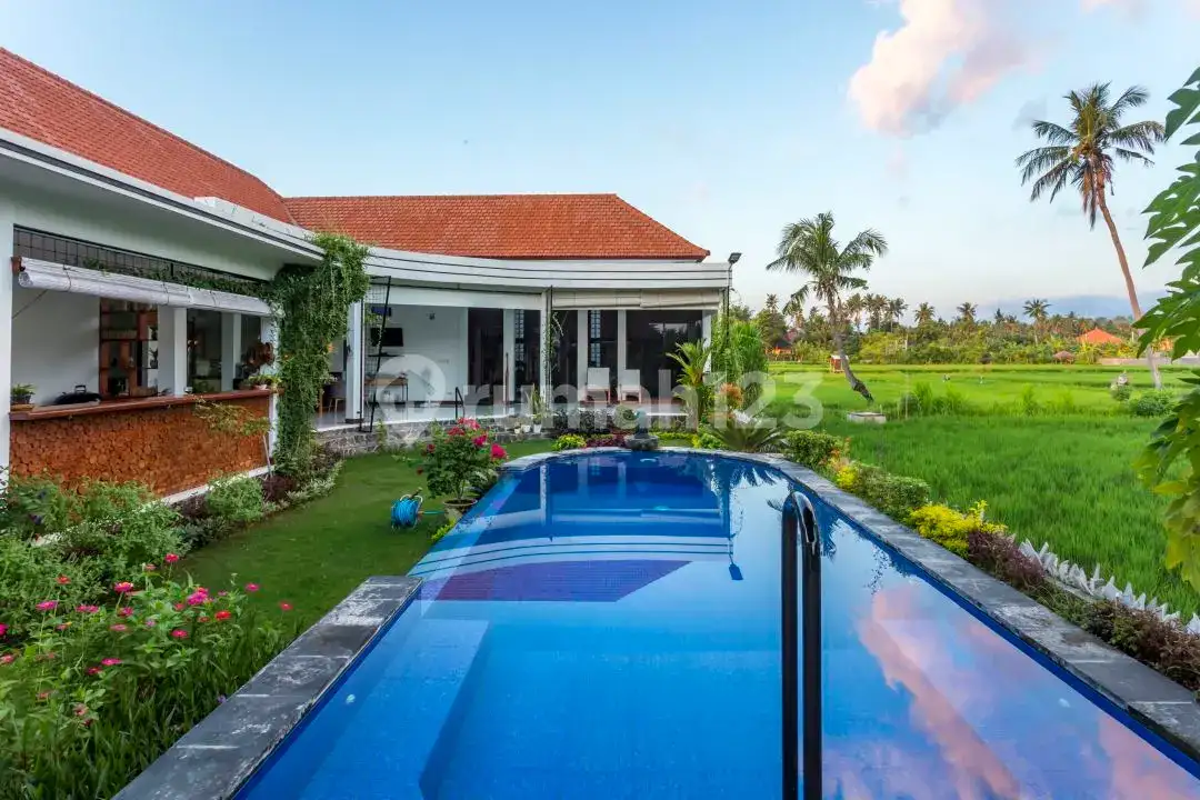 Villa Modern di Pusat Lovina dengan Pemandangan Fantastis