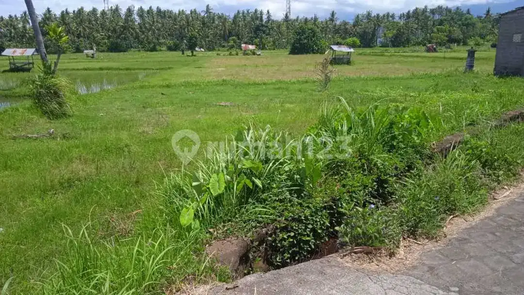 Tanah Siap Bangun di Anturan Lovina, Cocok untuk Kavling, Villa, dan Investasi