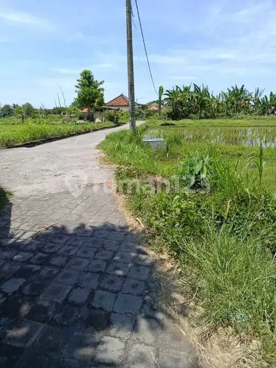 Tanah Siap Bangun di Anturan Lovina, Cocok untuk Kavling, Villa, dan Investasi