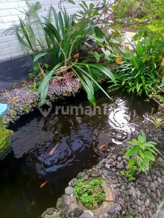 Villa 2 Kamar Tidur Dekat Pusat Lovina, Cocok untuk Hunian Permanen
