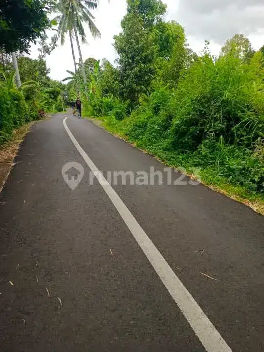 Tanah Datar 20 Are di Panji Buleleng, Cocok untuk Villa dan Homestay
