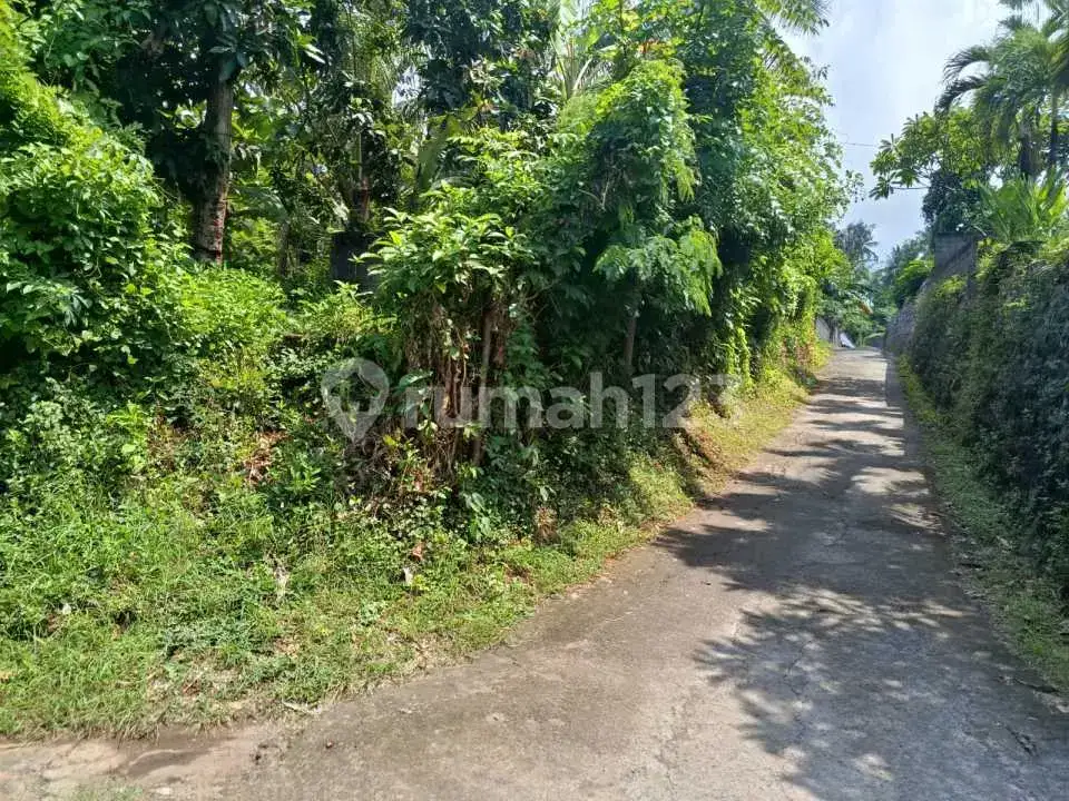 Tanah Datar 50 Are di Gerokgak Buleleng, Dekat Pelabuhan Celuk Bawang