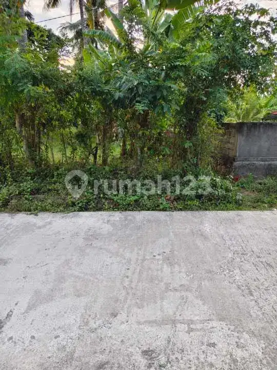 Tanah Datar 50 Are di Gerokgak Buleleng, Dekat Pelabuhan Celuk Bawang
