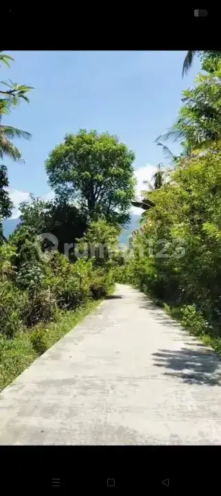 Tanah Datar 50 Are di Gerokgak Buleleng, Dekat Pelabuhan Celuk Bawang