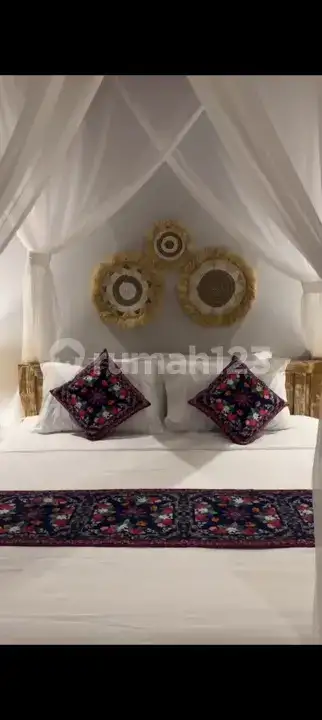 Villa Modern dengan Pemandangan Laut dan Sawah di Lovina Cocok untuk Hunian dan Investasi