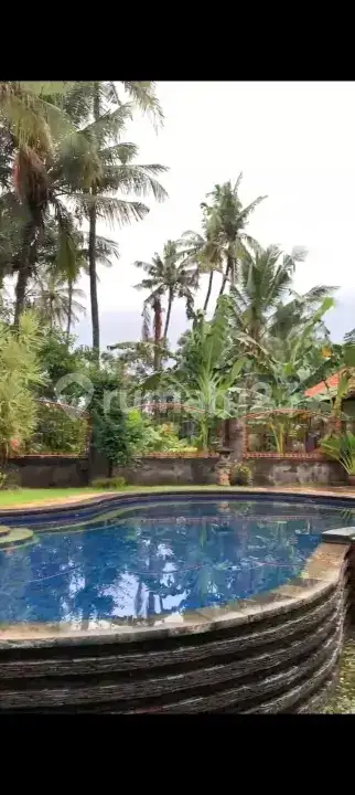 Villa di Bayualit Lovina Dekat Pantai dengan Lahan Luas Cocok untuk Hunian dan Investasi