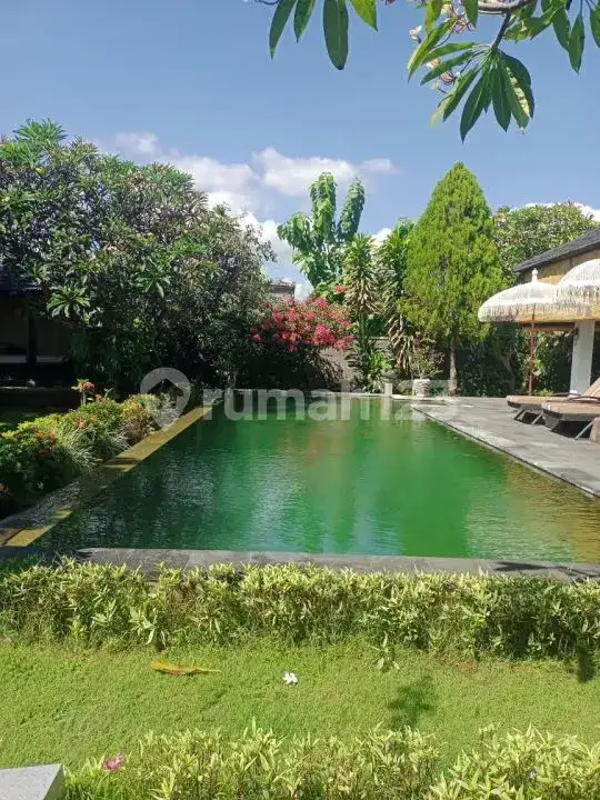 Private Villa 3 Kamar Tidur di Seririt Dekat Pantai Banjar Area Tenang dan Asri