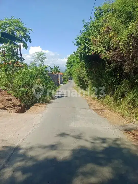 Private Villa 3 Kamar Tidur di Seririt Dekat Pantai Banjar Area Tenang dan Asri