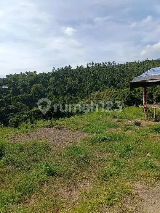 Tanah View Laut di Lovina dengan Panorama Sawah dan Pegunungan Cocok untuk Villa