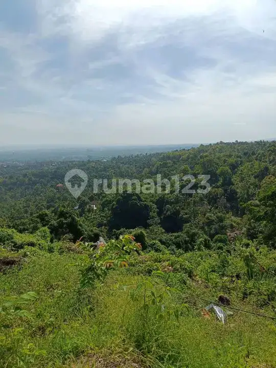 Tanah View Laut di Lovina dengan Panorama Sawah dan Pegunungan Cocok untuk Villa