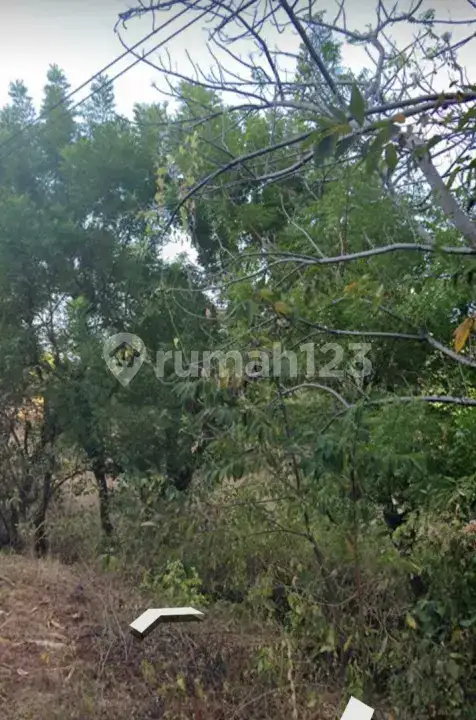Tanah Dekat Pantai di Pemuteran Gerokgak Cocok untuk Hunian dan Investasi