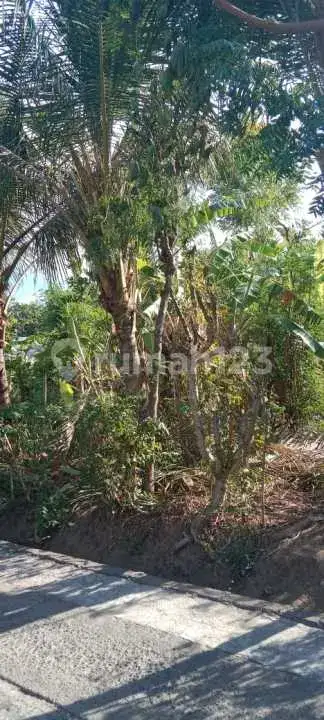 Tanah Datar di Pemuteran Gerokgak Cocok untuk Pembangunan Villa
