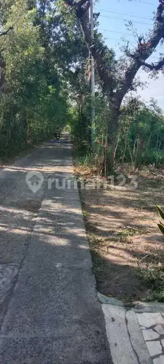 Tanah Datar di Pemuteran Gerokgak Cocok untuk Pembangunan Villa