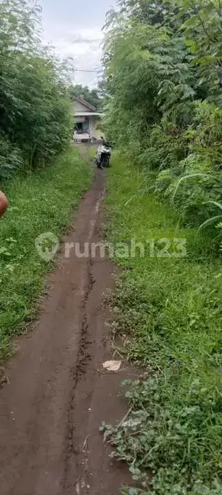 Tanah Kavling di Pemuteran Gerokgak Cocok untuk Hunian dan Investasi