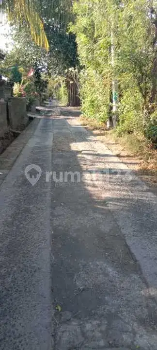 Tanah 10 Are di Pemuteran Gerokgak dengan View Gunung Cocok untuk Hunian dan Investasi