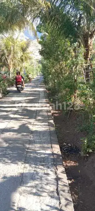Tanah 10 Are di Pemuteran Gerokgak dengan View Gunung Cocok untuk Hunian dan Investasi