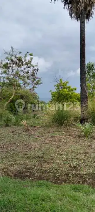 Tanah 10 Are di Pemuteran Gerokgak dengan View Gunung Cocok untuk Hunian dan Investasi