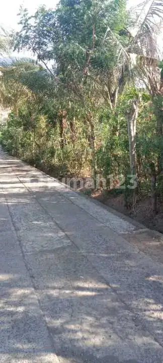 Tanah 10 Are di Pemuteran Gerokgak dengan View Gunung Cocok untuk Hunian dan Investasi