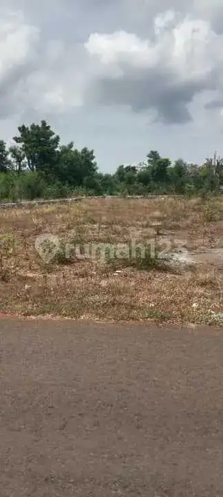 Tanah 10 Are di Pemuteran Gerokgak Dekat Pantai Cocok untuk Hunian dan Investasi