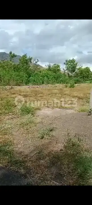 Tanah 10 Are di Pemuteran Gerokgak Dekat Pantai Cocok untuk Hunian dan Investasi