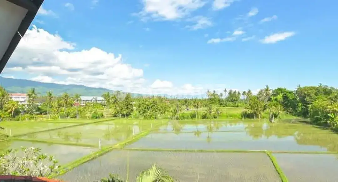 Homestay 8 Kamar Tidur di Anturan dengan View Sawah dan Pegunungan Cocok untuk Bisnis Hospitality