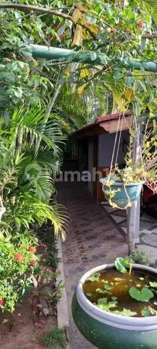Beach Front Villa di Kubutambahan Bali Utara dengan Lahan Luas Cocok untuk Hunian dan Investasi