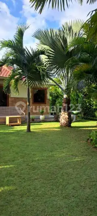 Beach Front Villa di Kubutambahan Bali Utara dengan Lahan Luas Cocok untuk Hunian dan Investasi