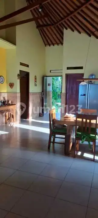 Beach Front Villa di Kubutambahan Bali Utara dengan Lahan Luas Cocok untuk Hunian dan Investasi