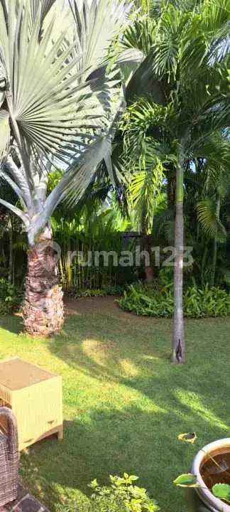 Beach Front Villa di Kubutambahan Bali Utara dengan Lahan Luas Cocok untuk Hunian dan Investasi