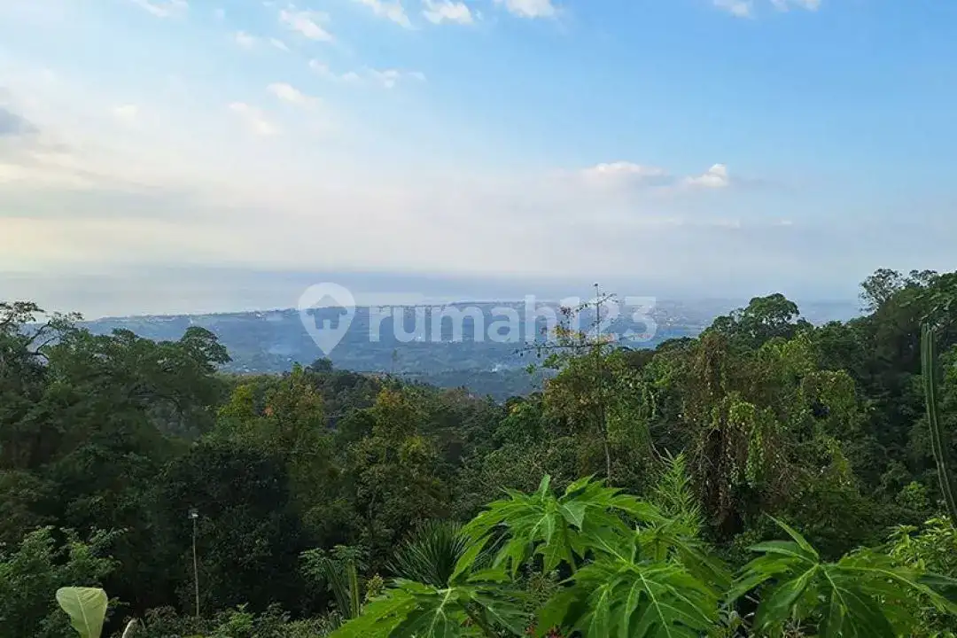 Rumah dan Lahan View Laut di Perbukitan Lovina Sukasada Cocok untuk Hunian dan Retreat